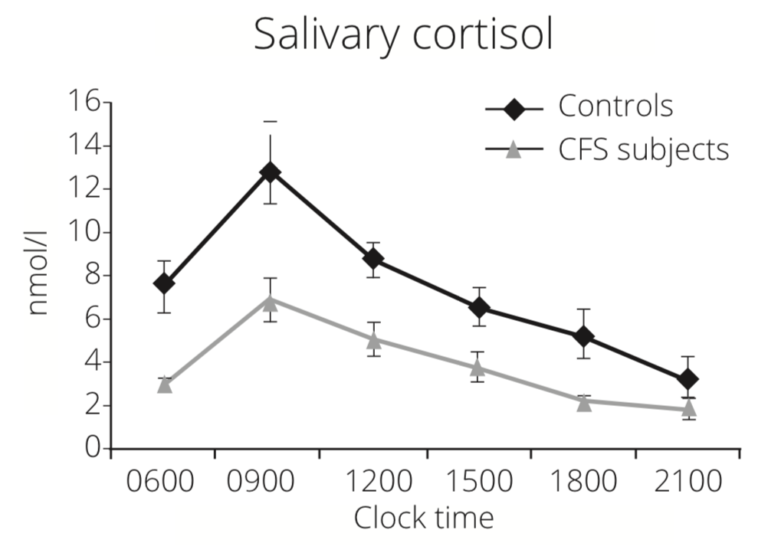 DUTCH Complete Test Wimbledon Clinic of Natural Medicine